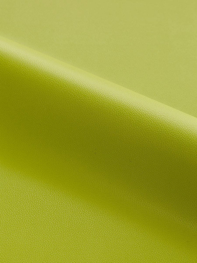 Scalamandre CLARK - OUTDOOR LEEK Fabric