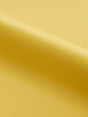 Scalamandre Clark | Outdoor Goldenrod Fabric