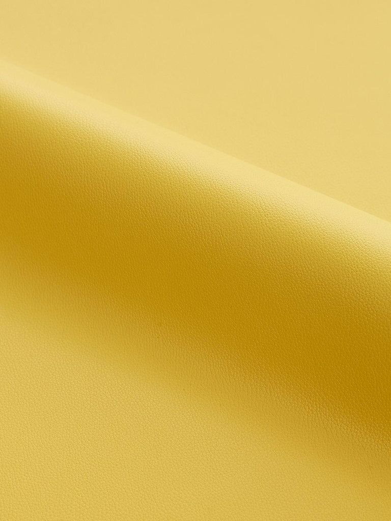 Scalamandre CLARK - OUTDOOR GOLDENROD Fabric
