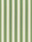 Scalamandre Shirred Stripe Bonsai Fabric