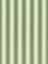 Scalamandre Shirred Stripe Bonsai Fabric
