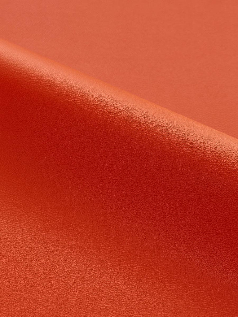 Scalamandre CLARK - OUTDOOR FLAME Fabric