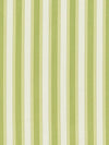 Scalamandre Shirred Stripe New Leaf Fabric