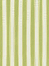 Scalamandre Shirred Stripe New Leaf Fabric