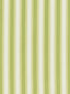 Scalamandre Shirred Stripe New Leaf Fabric