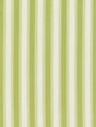 Scalamandre Shirred Stripe New Leaf Fabric