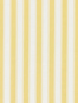 Scalamandre Shirred Stripe Sunray Fabric