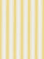Scalamandre Shirred Stripe Sunray Fabric