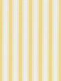 Scalamandre Shirred Stripe Sunray Fabric