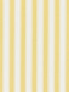 Scalamandre Shirred Stripe Sunray Fabric
