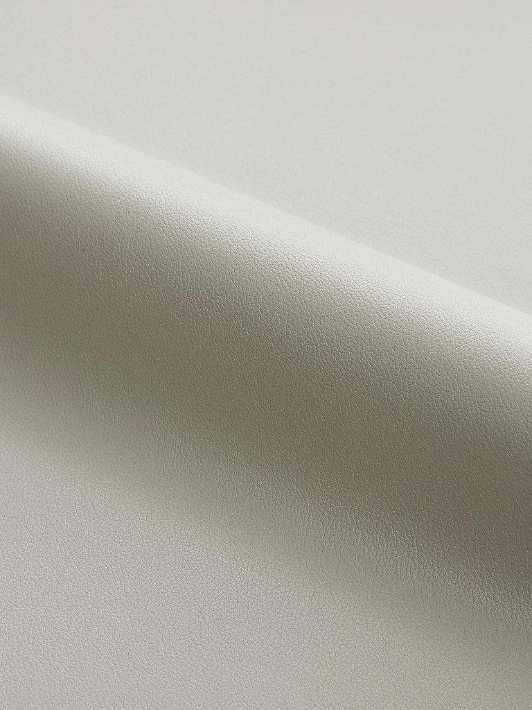 Scalamandre CLARK - OUTDOOR SKYSCRAPER Fabric