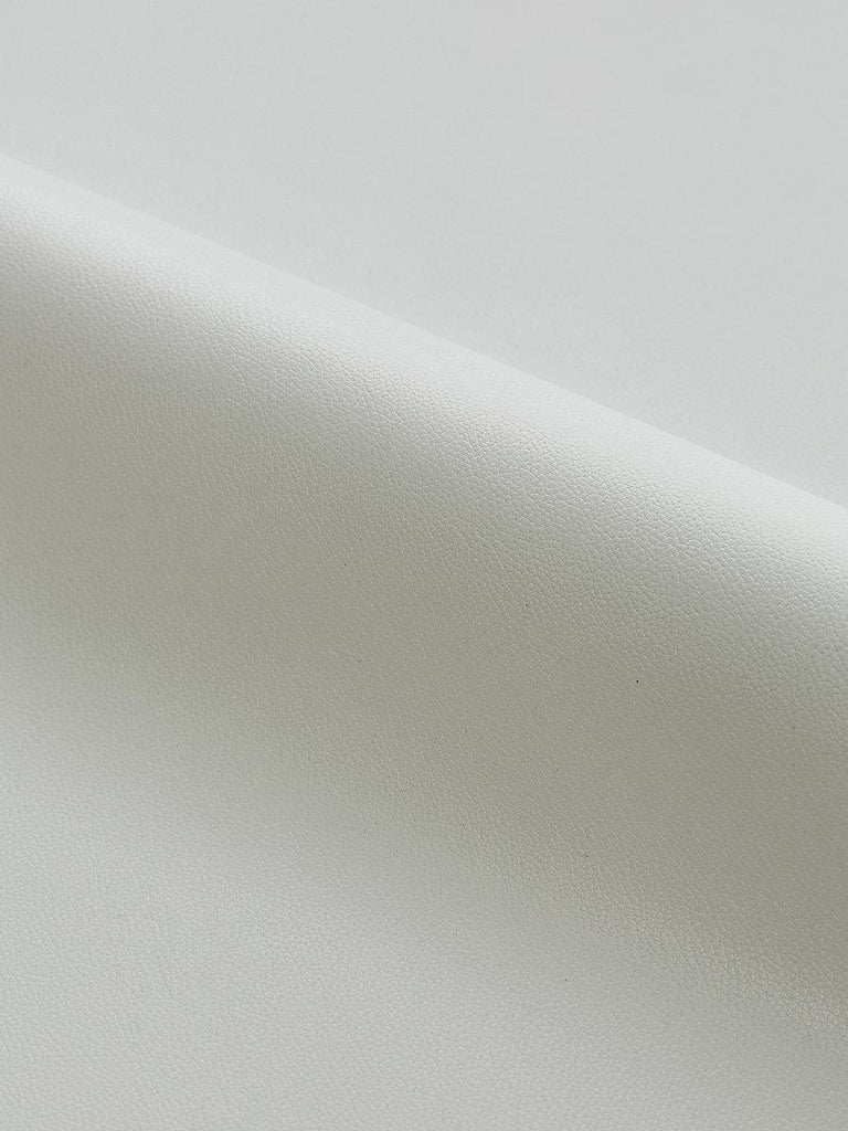 Scalamandre CLARK - OUTDOOR PAVEMENT Fabric