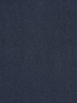 Scalamandre Solstice Velvet | Outdoor Galaxy Fabric