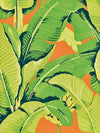 Hinson Hinson Palm Aperol Spritz Wallpaper