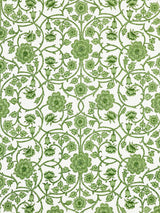 Scalamandre Ornamental Gate Fern Fabric