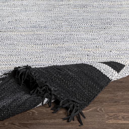 Surya Lexington LEX-2307 2' x 3' Rug