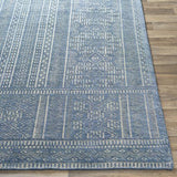 Surya Livorno LVN-2300 Blue Oatmeal 2' x 3' Rug