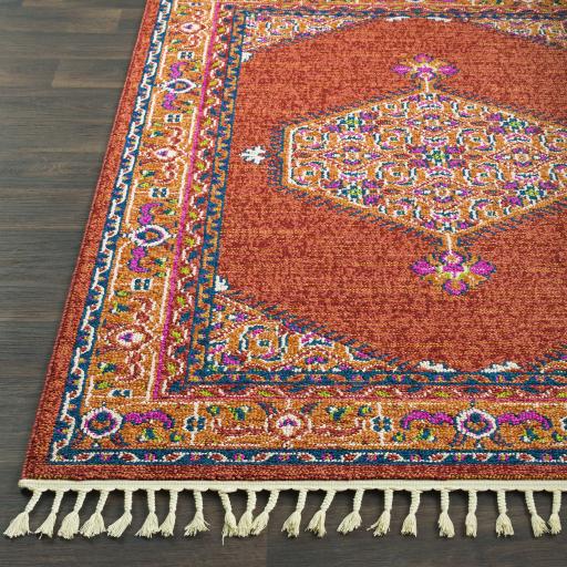 Surya Love LOV-2306 Brick Red Camel 9' x 12'2" Rug