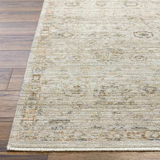Surya Ren BOMG-2303 5'3" x 7'10" Rug