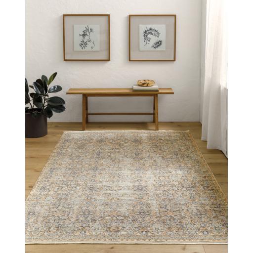 Surya Ren BOMG-2307 5'3" x 7'10" Rug