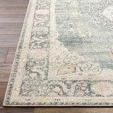 Surya Marlene BOMN-2300 Blue Burgundy 3'10" x 5'7" Rug