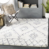 Surya Maroc Shag MRS-2303 2' x 3' Rug