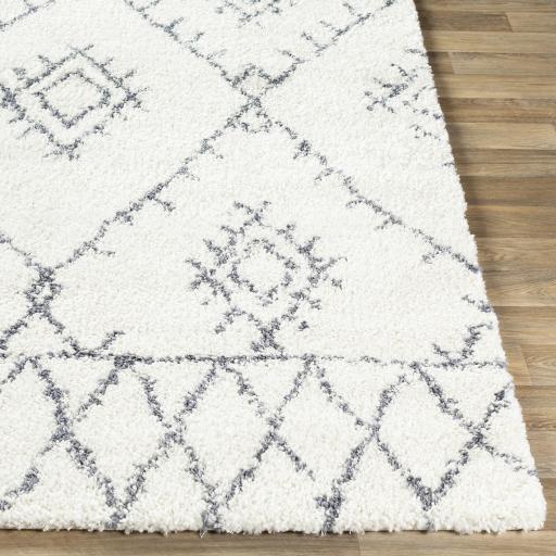 Surya Maroc Shag MRS-2303 2' x 3' Rug