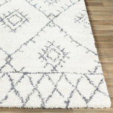 Surya Maroc Shag MRS-2303 2' x 3' Rug