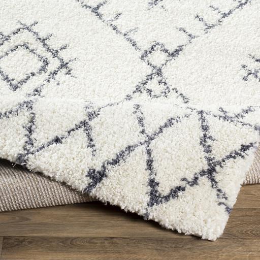 Surya Maroc Shag MRS-2303 2' x 3' Rug