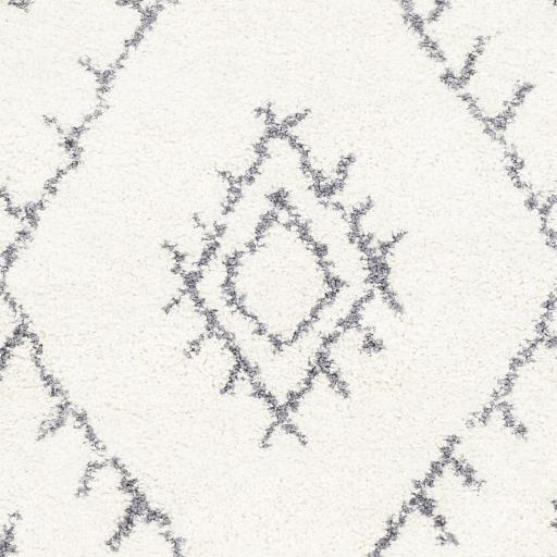 Surya Maroc Shag MRS-2303 2' x 3' Rug