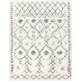Surya Maroc Shag MRS-2305 2' x 3' Rug