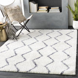 Surya Maroc Shag MRS-2307 2' x 3' Rug