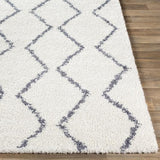 Surya Maroc Shag MRS-2307 2' x 3' Rug