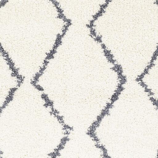 Surya Maroc Shag MRS-2307 2' x 3' Rug