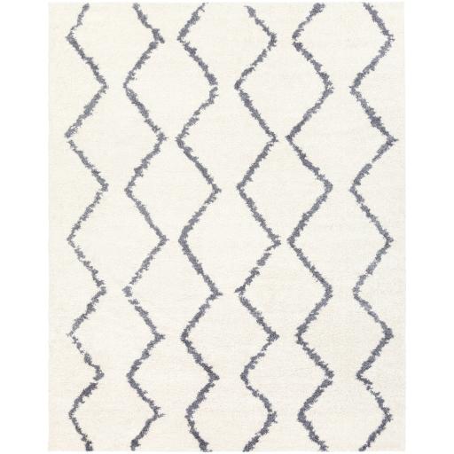 Surya Maroc Shag MRS-2307 2' x 3' Rug