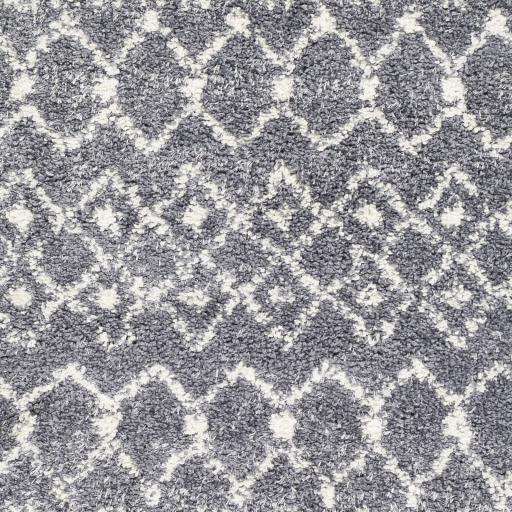 Surya Maroc Shag MRS-2308 2' x 3' Rug