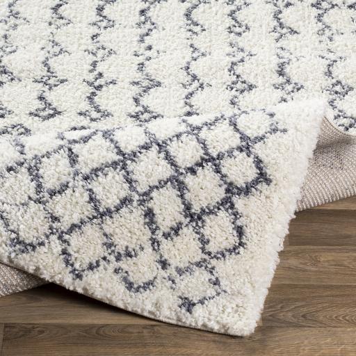 Surya Maroc Shag MRS-2311 2' x 3' Rug