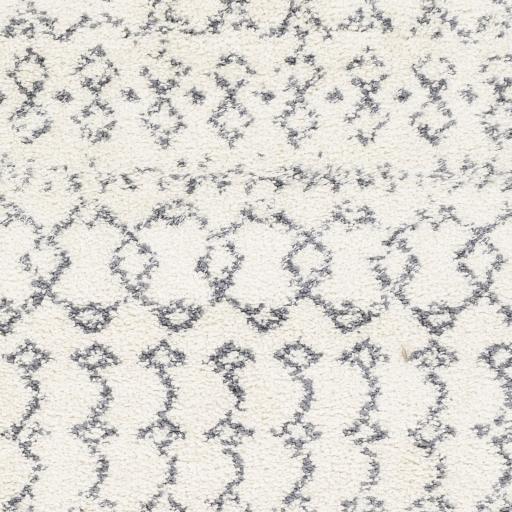 Surya Maroc Shag MRS-2311 2' x 3' Rug