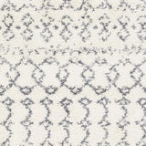 Surya Maroc Shag MRS-2311 2' x 3' Rug