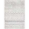 Surya Maroc Shag MRS-2311 2' x 3' Rug