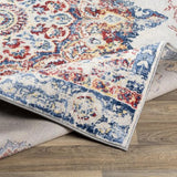 Surya Monaco MOC-2319 8'10" x 12'3" Rug