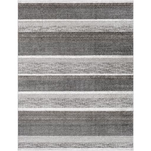 Surya Nepali NPI-2302 2' x 3' Rug