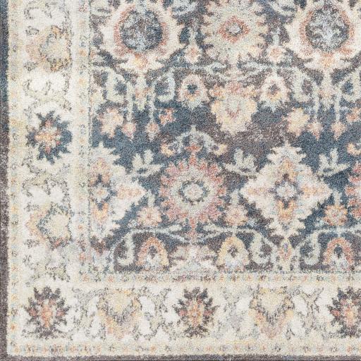 Surya New Mexico NWM-2316 2' x 3' Rug