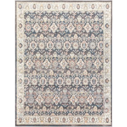 Surya New Mexico NWM-2316 2' x 3' Rug