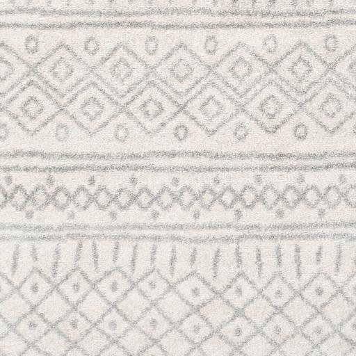 Surya Norwich NWC-2303 7'10" x 10'3" Rug