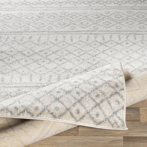 Surya Norwich NWC-2303 8'10" x 12' Rug