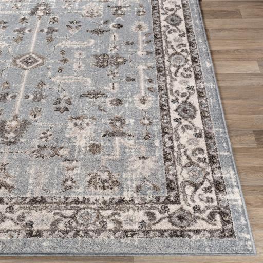 Surya Norwich NWC-2315 5'3" x 7'3" Rug