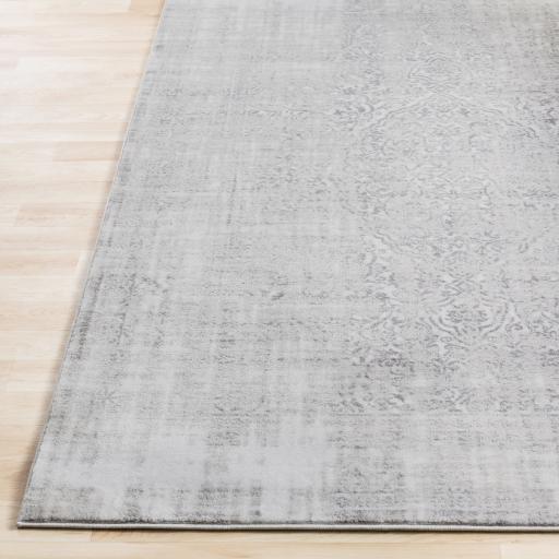 Surya Nova NVA-3025 2'2" x 2'11" Rug