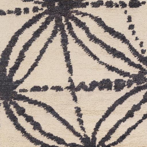 Surya Orinocco OOC-1001 2' x 3' Rug