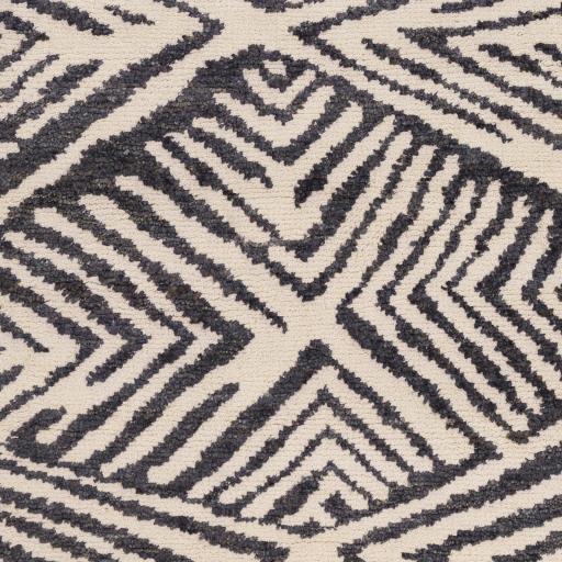 Surya Orinocco OOC-1003 8' x 10' Rug